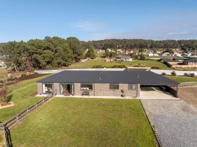 House For Sale - TAS - Beaconsfield - 7270 - Rural Freedom, Town Convenience  (Image 2)