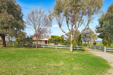 Acreage/Semi-rural For Sale - NSW - Tamworth - 2340 - Rural Lifestyle with Productivity Just Minutes from Tamworth (Image 2)