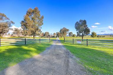 Acreage/Semi-rural For Sale - NSW - Tamworth - 2340 - Rural Lifestyle with Productivity Just Minutes from Tamworth  (Image 2)