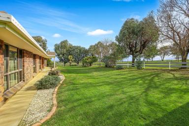 Acreage/Semi-rural For Sale - NSW - Tamworth - 2340 - Rural Lifestyle with Productivity Just Minutes from Tamworth (Image 2)