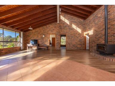 House For Sale - NSW - Nabiac - 2312 - This rare, small acre property could be yours!  (Image 2)