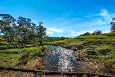 Lifestyle For Sale - NSW - Batlow - 2730 - Gilmore Creek Frontage!  (Image 2)