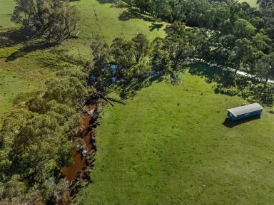 Lifestyle For Sale - NSW - Batlow - 2730 - Gilmore Creek Frontage!  (Image 2)