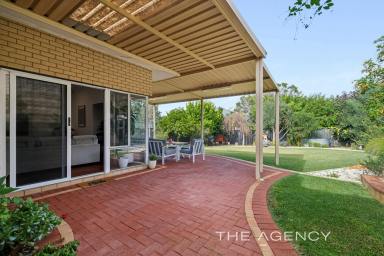 House For Sale - WA - Bassendean - 6054 - Just Gorgeous on 728sqm's & Superb Value  (Image 2)