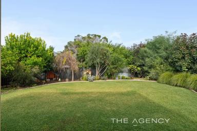 House For Sale - WA - Bassendean - 6054 - Just Gorgeous on 728sqm's & Superb Value  (Image 2)
