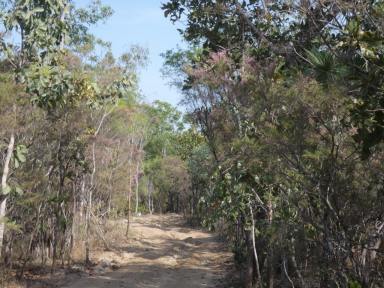 Other (Rural) For Sale - NT - Berry Springs - 0838 - Rural Life 1/4 share in (Image 2)