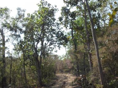 Other (Rural) For Sale - NT - Berry Springs - 0838 - Rural Life 1/4 share in (Image 2)
