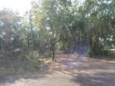 Other (Rural) For Sale - NT - Berry Springs - 0838 - Rural Life 1/4 share in (Image 2)