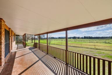 Lifestyle Auction - NSW - Tamworth - 2340 - The Meadows - Productive Country with Outstanding Potential  (Image 2)