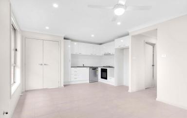 House For Lease - NSW - Raymond Terrace - 2324 - Modern Comfort & Low-Maintenance Living (Image 2)