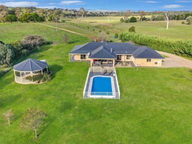 Lifestyle For Sale - NSW - Boorowa - 2586 - Where Productive Grazing Meets Country Lifestyle  (Image 2)