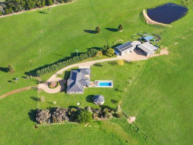 Lifestyle For Sale - NSW - Boorowa - 2586 - Where Productive Grazing Meets Country Lifestyle  (Image 2)