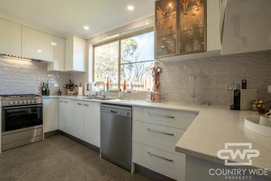 Flat For Lease - NSW - Deepwater - 2371 - Fully Furnished Off-Grid One-Bedroom Flat, Deepwater (Image 2)
