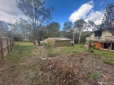 House For Sale - QLD - Macleay Island - 4184 - Spacious Island Home on 1,875m² – Packed with Potential  (Image 2)