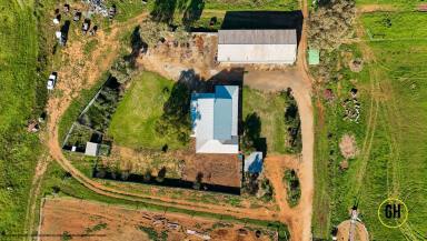 Acreage/Semi-rural For Sale - VIC - Nyah West - 3595 - Lifestyle, Space & Rural Opportunity on 30 Acres  (Image 2)