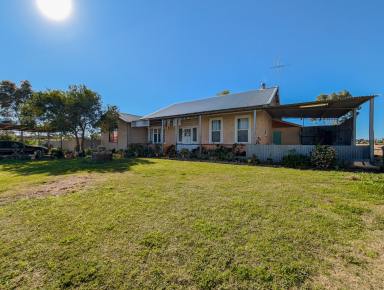 Acreage/Semi-rural For Sale - VIC - Nyah West - 3595 - Lifestyle, Space & Rural Opportunity on 30 Acres  (Image 2)
