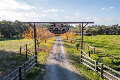Lifestyle For Sale - NSW - Tumut - 2720 - Modern Country Living with Western Charm (Image 2)