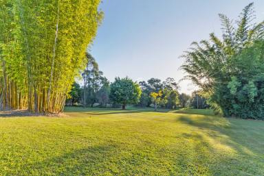 House For Sale - QLD - Banks Pocket - 4570 - Private Lifestyle Acreage with a Fully Self-Contained Second Dwelling  (Image 2)