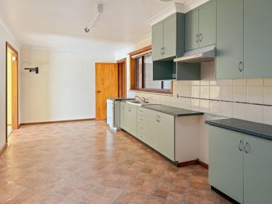 House For Sale - NSW - Young - 2594 - Peace and Quiet  (Image 2)