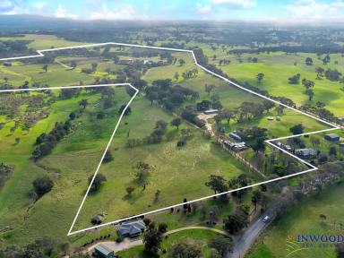 Lifestyle For Sale - SA - Mount Pleasant - 5235 - Receivership Sale: Significant scale, dual-title versatility. Stunning big gum country (65.72 Ha).  (Image 2)