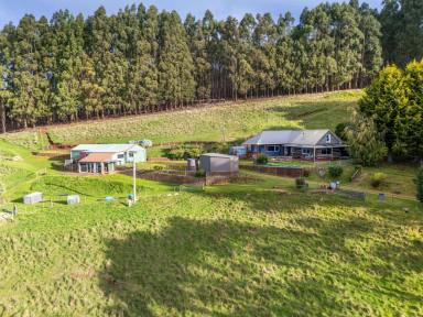 Lifestyle For Sale - TAS - Paradise - 7306 - Living in Paradise (Image 2)