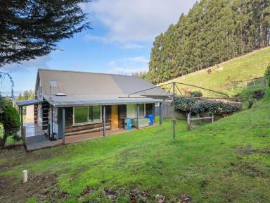 Lifestyle For Sale - TAS - Paradise - 7306 - Living in Paradise (Image 2)