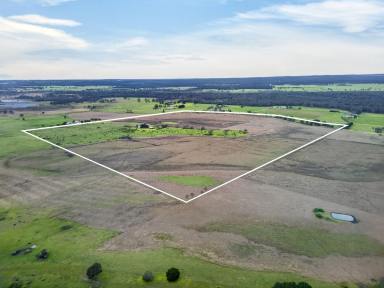 Livestock For Sale - VIC - Pearsondale - 3851 - 149 Acres Across Two Titles – Rural Lifestyle & Farming Opportunity Minutes from Sale  (Image 2)