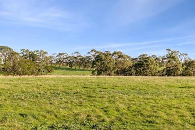 Mixed Farming For Sale - VIC - Moriac - 3240 - "Marshalls" (Image 2)