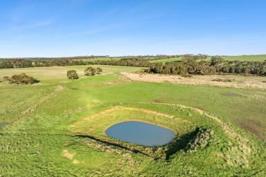 Mixed Farming For Sale - VIC - Moriac - 3240 - "Marshalls" (Image 2)