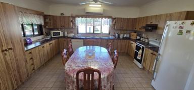 House For Sale - QLD - Ingham - 4850 - LOWSET BRICK HOME ON CORNER BLOCK - CLOSE TO TOWN CENTRE!  (Image 2)