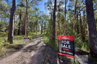Residential Block For Sale - QLD - Downsfield - 4570 - Your Own Private Wilderness Retreat – 86 Acres Bordering National Park! (Image 2)