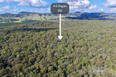 Residential Block For Sale - QLD - Downsfield - 4570 - Your Own Private Wilderness Retreat – 86 Acres Bordering National Park! (Image 2)