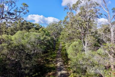 Residential Block For Sale - QLD - Downsfield - 4570 - Your Own Private Wilderness Retreat – 86 Acres Bordering National Park!  (Image 2)