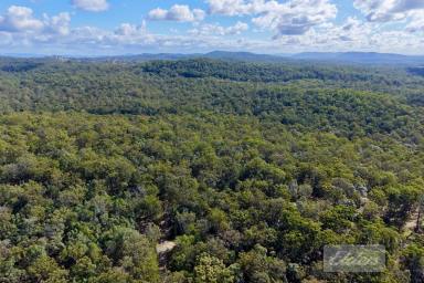 Residential Block For Sale - QLD - Downsfield - 4570 - Your Own Private Wilderness Retreat – 86 Acres Bordering National Park!  (Image 2)