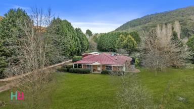 House For Sale - NSW - Hampton - 2790 - Idyllic Hampton Escape with Creekside Setting & Shedding  (Image 2)