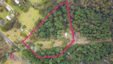 House For Sale - NSW - Sunny Corner - 2795 - Craving Privacy? Discover This Hidden A-Frame Retreat  (Image 2)