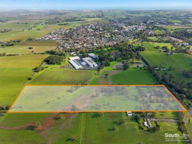 Other (Rural) For Sale - SA - McLaren Vale - 5171 - Country Retreat on the Edge of Town (Image 2)