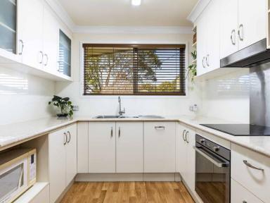 House For Sale - QLD - Newtown - 4350 - Immaculately Maintained Family Home with Exceptional Shedding  (Image 2)
