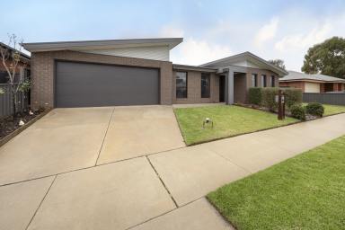 House For Sale - VIC - Swan Hill - 3585 - 4 Bed Family Home with a Shed  (Image 2)