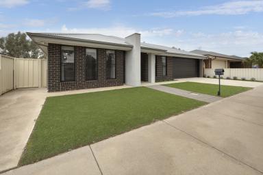 House For Sale - VIC - Swan Hill - 3585 - Spacious Family Living in a Low-Maintenance Setting  (Image 2)