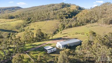 Lifestyle For Sale - NSW - Lambs Valley - 2335 - 919 Acres of Stunning Countryside with Spectacular Views  (Image 2)