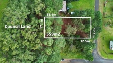 Residential Block For Sale - QLD - Macleay Island - 4184 - Privacy, Convenience & Outstanding Value (Image 2)