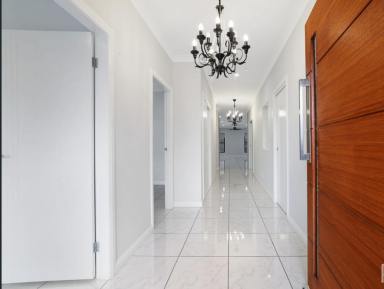 House For Lease - NSW - Tamworth - 2340 - Beautiful Family Home in Sought-After East Tamworth  (Image 2)