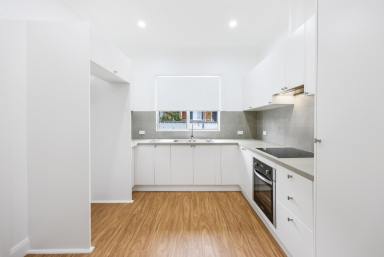 House For Lease - NSW - Tamworth - 2340 - Fully Renovated Four Bedroom Home! (Image 2)