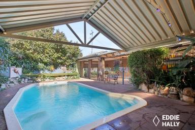 House For Sale - WA - Yangebup - 6164 - Creature Comforts! (Image 2)