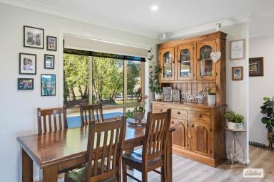 Acreage/Semi-rural For Sale - NSW - Black Range - 2550 - LIFESTYLE, SPACE & SUNSETS - JUST MINUTES FROM BEGA  (Image 2)