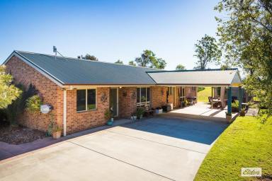 Acreage/Semi-rural For Sale - NSW - Bega - 2550 - LIFESTYLE, SPACE & SUNSETS - JUST MINUTES FROM BEGA (Image 2)