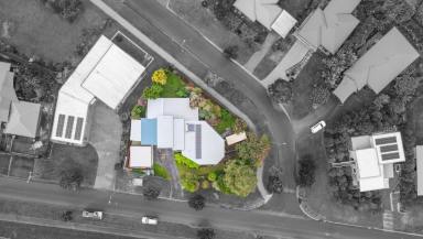 House For Sale - QLD - Yungaburra - 4884 - Stunning Multi-Level Home with a Granny Flat  (Image 2)