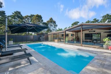 Acreage/Semi-rural For Sale - NSW - Crescent Head - 2440 - The Great Australian Dream - Surf, Sanctuary, Sustainability  (Image 2)