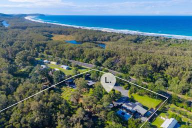 Acreage/Semi-rural For Sale - NSW - Crescent Head - 2440 - The Great Australian Dream - Surf, Sanctuary, Sustainability (Image 2)